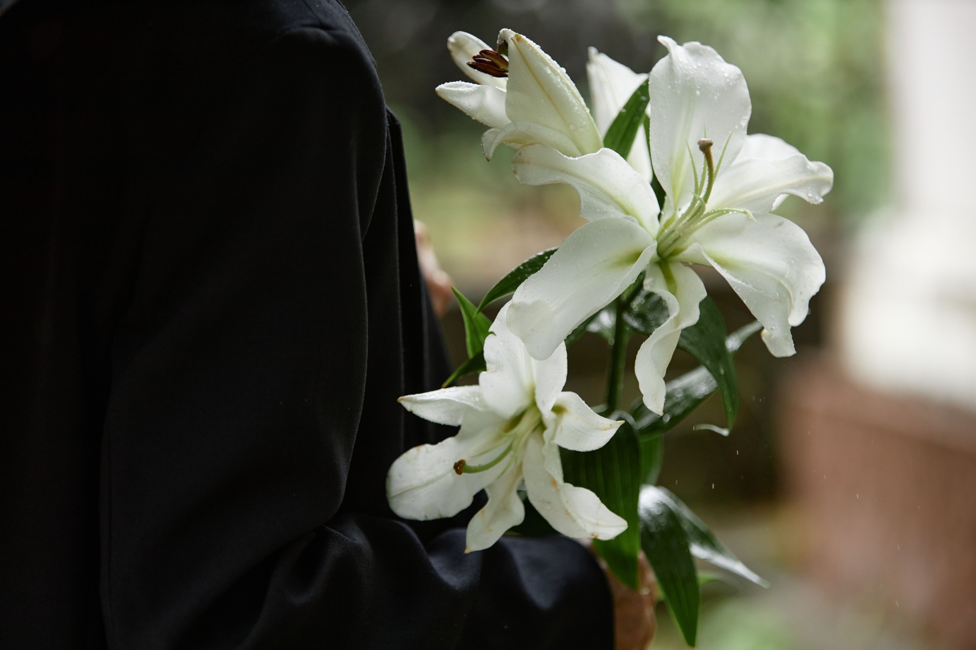 Rain Wet White Lilies in Hands of Person in Black Suit