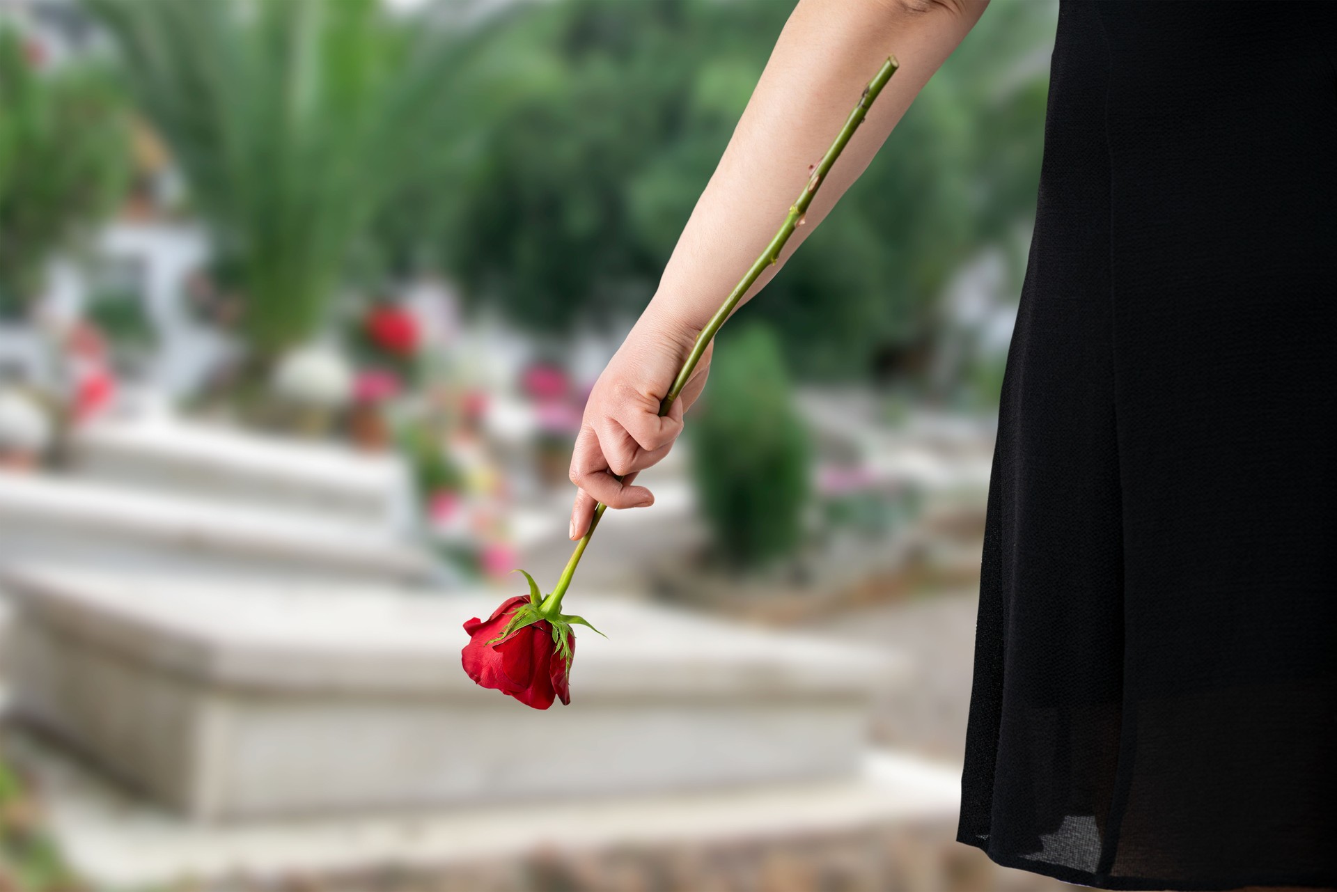 Pessoa deixando uma rosa vermelha sobre campa durante cerimónia civil de despedida, num serviço de homenagem personalizado da Além Fúnebre na região de Sintra, Cascais, Oeiras, Amadora e Loures.